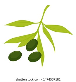Olive with leaves branch of organic natural product vector isolated vegetarian ingredient dietary healthy meal with foliage mediterranean element for salads of dishes cooking spanish dressing