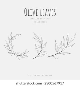 Olive leaves circle shape line art hand drawn element isolated on white background. Vector illustration