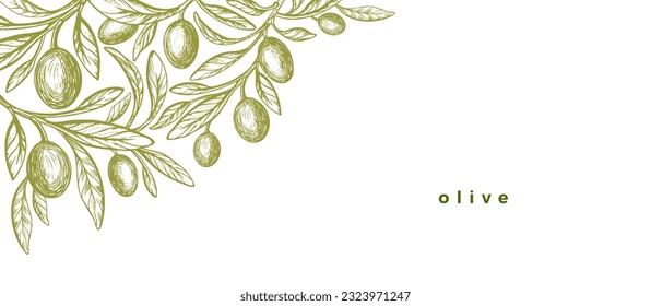 La esquina de las hojas de oliva. Ilustración vectorial de árbol, fruta verde, rama. Borde monocromo de textura vintage. Alimentos mediterráneos, aceite de aroma