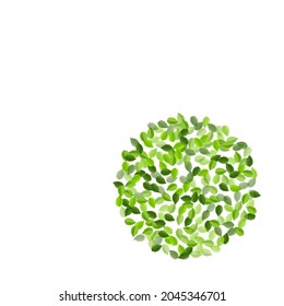 Olive Leaves Falling Vector Brochure. Motion Foliage Concept. Grassy Leaf Abstract Banner. Greens Realistic Plant.