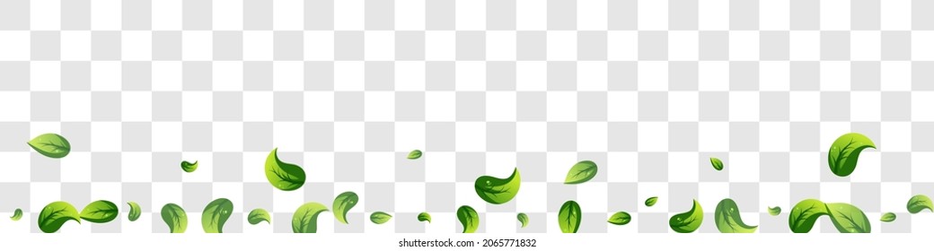 Olive Leaves Falling Vector Panoramic Transparent Background Concept. Fly Foliage Poster. Mint Greens Motion Design. Leaf Organic Brochure.
