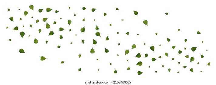 Olive Leaves Fly Vector Panoramic White Background. Falling Leaf Concept. Green Foliage Herbal Pattern. Greens Tree Wallpaper.