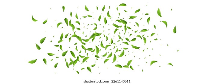 Olive Leaves Fly Vector Panoramic White Background Pattern. Nature Foliage Illustration. Lime Leaf Abstract Design. Greens Motion Plant.