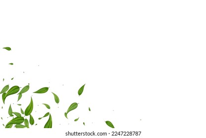 Olive Leaves Fly Vector White Background Wallpaper. Motion Foliage Concept. Forest Greens Realistic Illustration. Leaf Flying Branch.