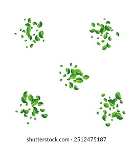 Olive Leaves Flying Vector White Background. Blur Leaf Branch. Grassy Foliage Tea Plant. Greens Nature Backdrop.