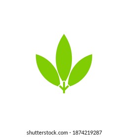 Olive leaves illustration a simple flat vector design. modern illustration for company logo, packaging natural products, organic shops, cosmetics, clothing