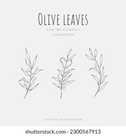 Olive leaves line art hand drawn element isolated on white background. Vector illustration