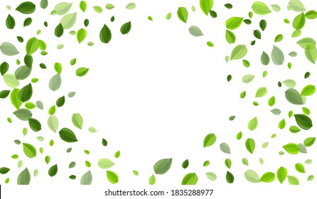 Olive Leaves Motion Vektorhintergrund. unscharfes Blattdesign. Illustration von Sumpfblättern im Wald. Greens Tee Muster.
