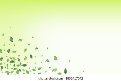 Olive Leaves Nature Vector Green Background Border. Tree Foliage Backdrop. Forest Leaf Ecology Poster. Greenery Blur Branch.