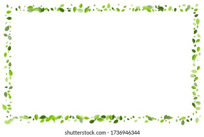 Olive Leaves Nature Vector Poster. Spring Foliage Template. Mint Greens Fly Illustration. Leaf Tree Pattern.