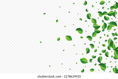Olivenöl hinterlässt einen realistischen, transparenten Hintergrund. Motion Leaf Konzept. Grassy Greens Baumhintergrund. Illustration aus Blatttee.