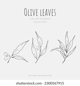 Olive leaves small line art hand drawn element isolated on white background. Vector illustration