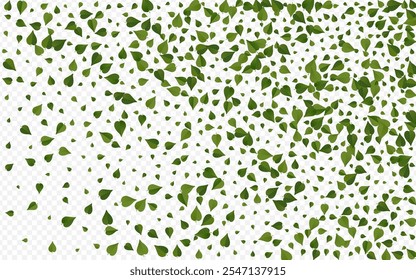 Olive Leaves Spring Vector Transparent Background Illustration. Tea Foliage Border. Grassy Leaf Organic Plant. Greens Fly Banner.