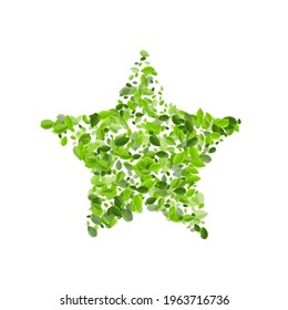 Olive Leaves Swirl Vector Brochure. Fresh Greens Plant. Lime Leaf Forest Illustration. Foliage Wind Branch.