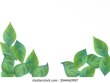 Olive Leaves Swirl Vector White Background Brochure. Spring Foliage Branch. Forest Leaf Fly Concept. Greenery Tree Illustration.