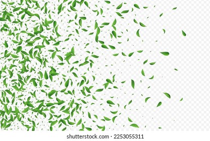 Olive Blätter Transparente Vektorhintergrund-Illustration. Wind Foliage Template. Grassy Greens Motion Concept. Ökologische Grenze aus Blei.