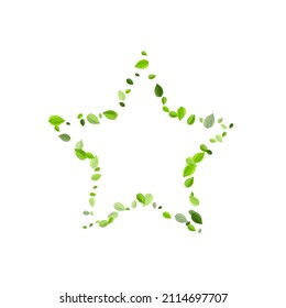Olive Leaves Transparent Vector Template. Motion Foliage Branch. Green Greens Nature Poster. Leaf Flying Pattern.
