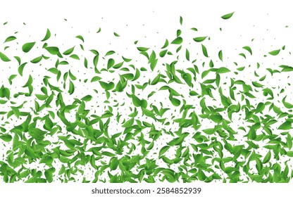 Olive Leaves Transparent Vector White Background Poster. Ecology Leaf Border. Lime Foliage Forest Pattern. Greens Abstract Backdrop.