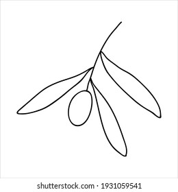 Olivenöl mit Blättern. Vektorgrafik handgezeichnet Illustration im Doodle-Stil.