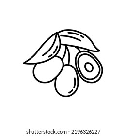 Olive line icon, outline vector sign, linear pictogram isolated on white.