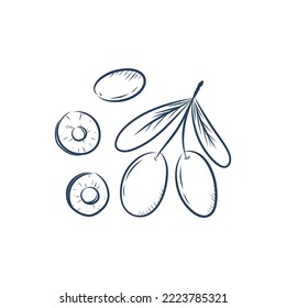 Olive line icon, outline vector sign, linear pictogram isolated on white. logo illustration