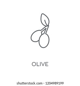 Olive linear icon. Olive concept stroke symbol design. Thin graphic elements vector illustration, outline pattern on a white background, eps 10.