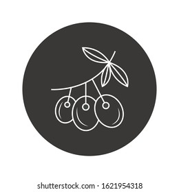 Olive live icon vector, filled flat sign