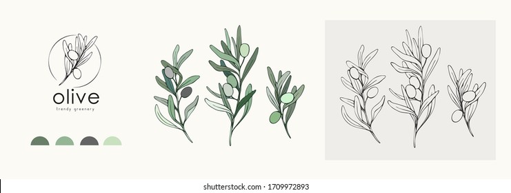 Olive logo and branch. Hand drawn wedding herb, plant and monogram with elegant leaves for invitation save the date card design. Botanical rustic trendy greenery vector illustration