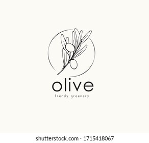 Olive logo and branch. Hand drawn wedding herb, plant and monogram with elegant leaves for invitation save the date card design. Botanical rustic trendy greenery vector illustration