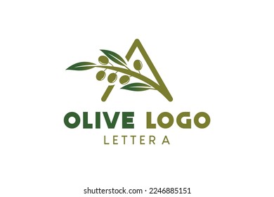 Olive logo design with letter A concept, natural green olive vector illustration