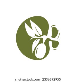 Olive Logo Design, Olive Oil Tree Vector, Simple Illustration Template