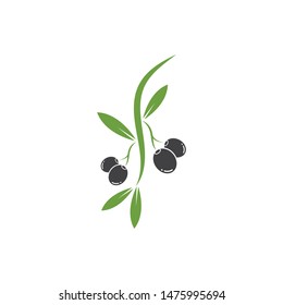 diseño del icono del logo del olivo