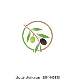 olive logo icon vector illustration design