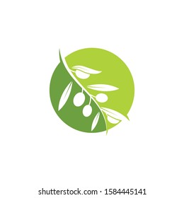 olive logo icon vector illustration design