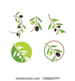 olive logo icon vector illustration design