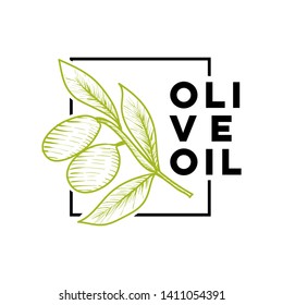 Olive logo or label Hand Draw. Natural Product emblems with branch. Vector illustration. Agricultural industrial element sketch - Vector