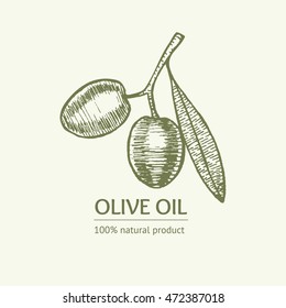 Olive logo or label Hand Draw Sketch. Natural Product emblems with branch. Vector illustration. Agricultural industrial element 