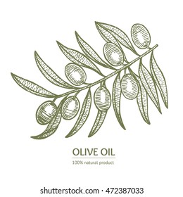 Olive logo or label Hand Draw Sketch. Natural Product emblems with branch. Vector illustration. Agricultural industrial element for Cards, Posters