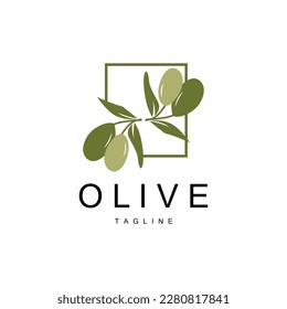 Olive Logo, Olive Oil Plant Vector, Natural Herbal Health Medicine Design, Illustration Template Icon