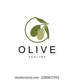 Olive Logo, Olive Oil Plant Vector, Natural Herbal Health Medicine Design, Illustration Template Icon