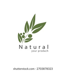 Logotipo y símbolo de oliva Vector 