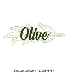Olive logo, tag, emblem. Hand drawn label for food packaging, menu, rastaurants. Engraving sketch vector illustration.