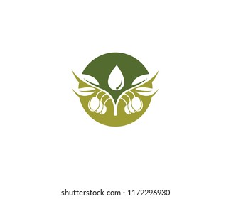 olive logo template