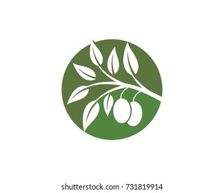 Olive logo template