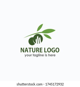 diseño de plantilla de logotipo de oliva vector, elementos naturales plantillas vectoriales