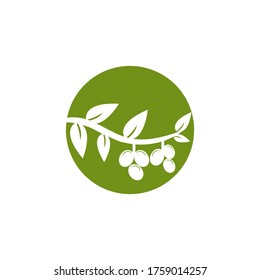 Olive logo template on EPS 10
