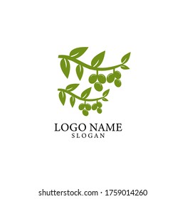 Olive logo template on EPS 10

