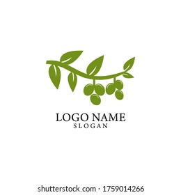 Olive logo template on EPS 10
