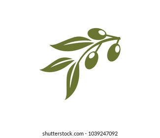 olive logo template vector design