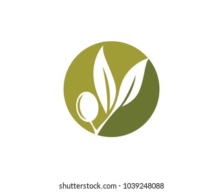 olive logo template vector design